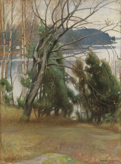 Sallow in Autumn, 1907. Creator: Pekka Halonen.