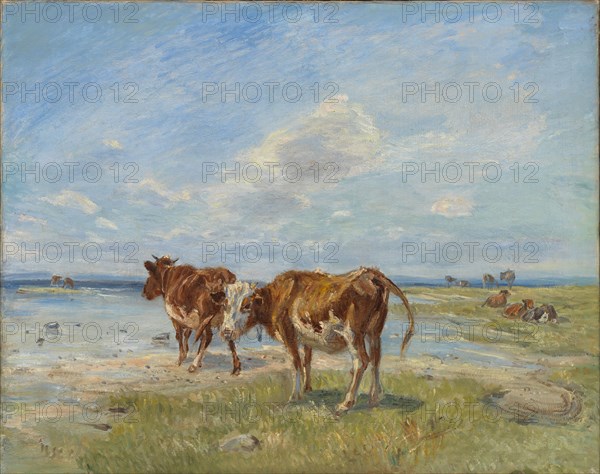 Cows on the beach, sketch, late 19th-early 20th century. Creator: Theodor Esbern Philipsen.