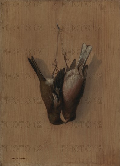 Two Hung Chaffinches, 1852. Creator: Wilhelm von Wright.