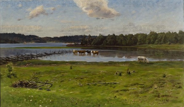 Shore Landscape from Aland, 1888. Creator: Elias Muukka.