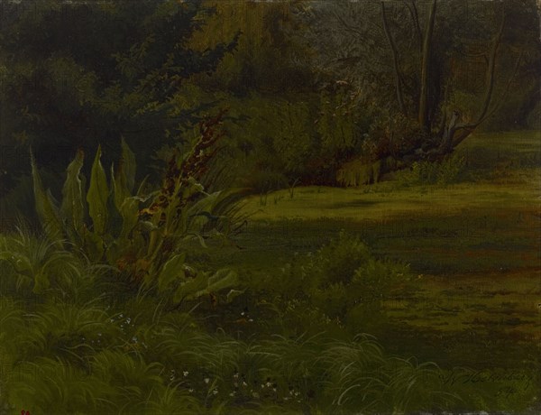 A pond in the forest, exercise, 1854. Creator: Werner Holmberg.