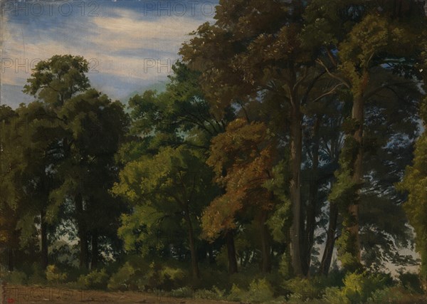 Landscape in Germany, Study, 1854. Creator: Werner Holmberg.