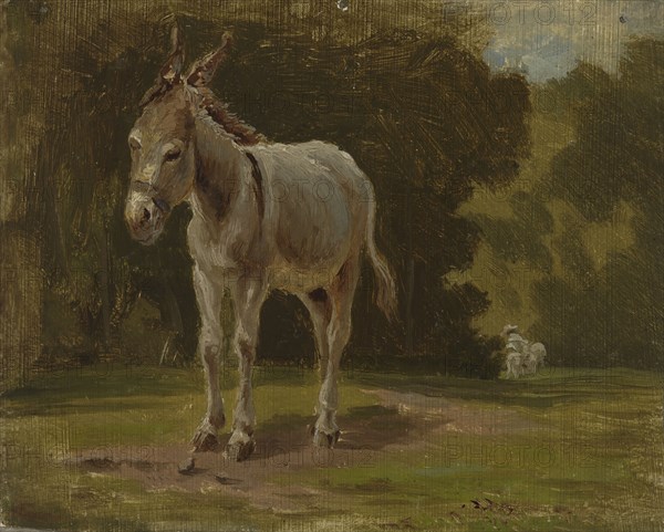 Ass, 1854. Creator: Werner Holmberg.