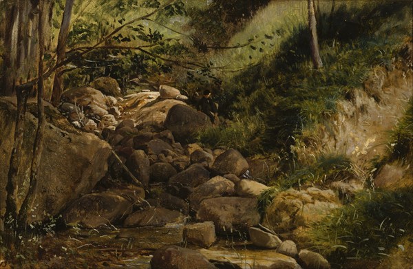 Brook, 1868. Creator: Berndt Lindholm.