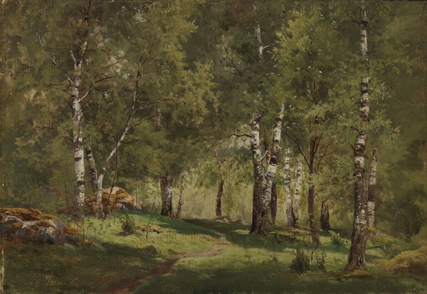 Birch Grove, 1865. Creator: Hjalmar Munsterhjelm.