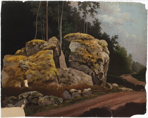 Landscape Study, Mossy Rocks at Roadside. Creator: Magnus von Wright.