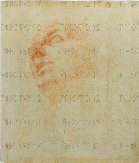 Study of a head, c 1504. Creator: Buonarroti, Michelangelo (1475-1564).