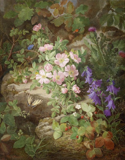 Still life with alpine flowers. Creator: Lauer, Josef (1818-1881).