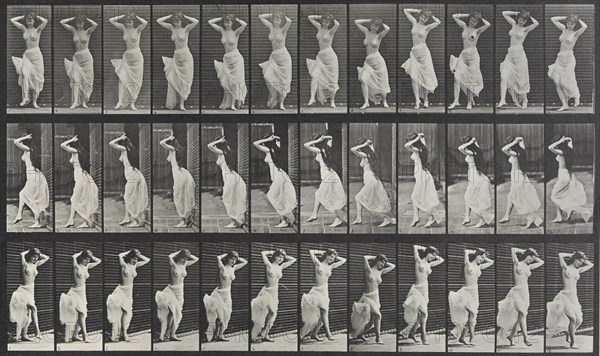 Animal Locomotion Plate 190, 1887. Creator: Muybridge, Eadweard (1830-1904).