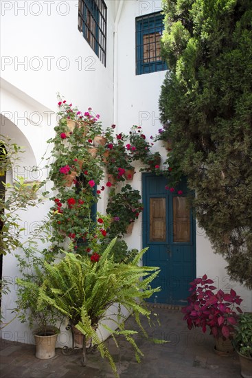 One of the 12 Gardens at the Renaissance Palacio de Viana, Cordoba, Spain, 2023. Creator: Ethel Davies.