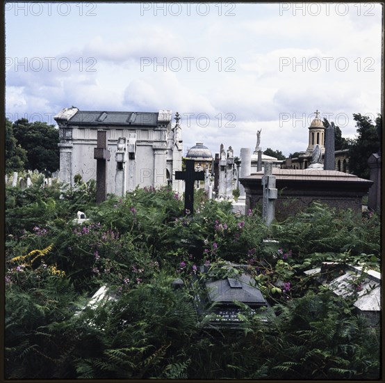 Brompton Cemetery, Old Brompton Road, Brompton, Kensington and Chelsea, London, 1982. Creator: Ian Mesnard Parsons.