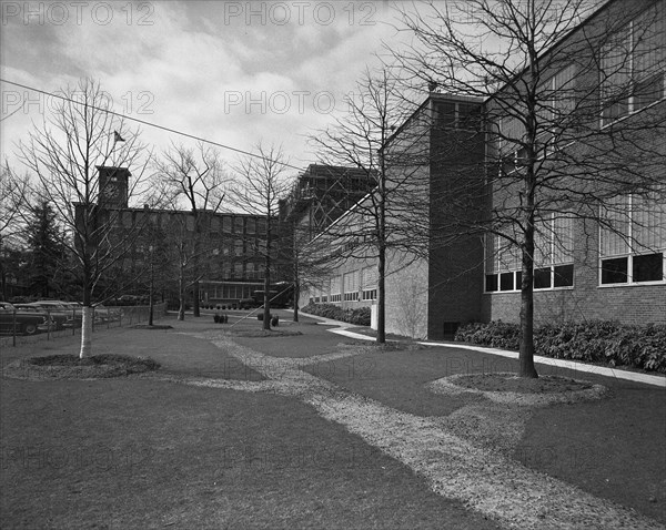 Becton Dickinson & Co., Rutherford, New Jersey, 1954. Creator: Gottscho-Schleisner, Inc.