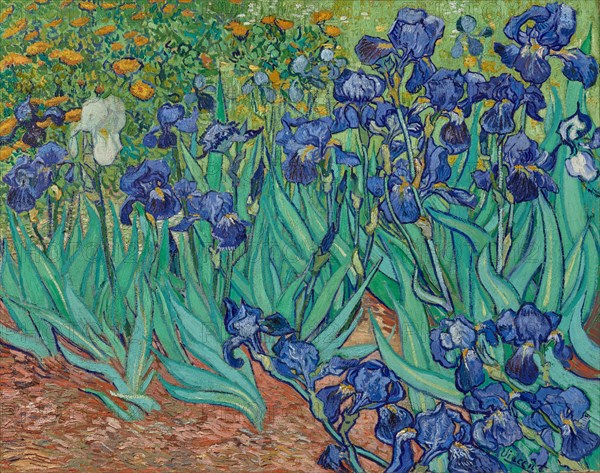 Irises, 1889. Creator: Vincent van Gogh.