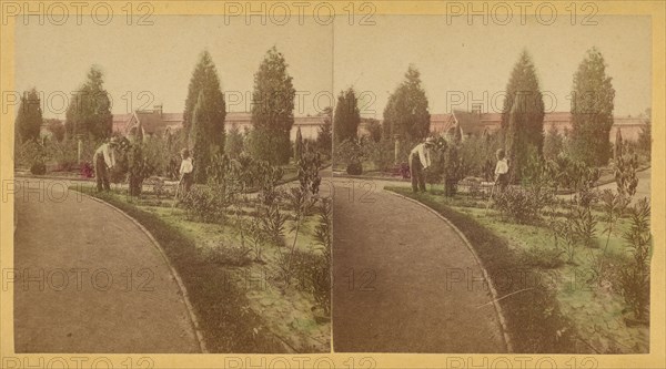 Shaw's Garden. North End. St. Louis, Missouri, about 1872-1874. Creator: Boehl & Koenig.