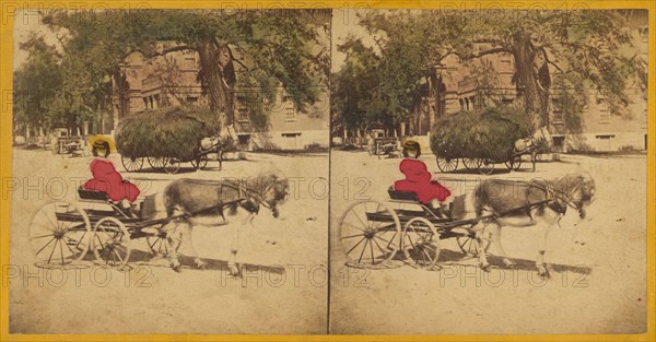 Woman in donkey-drawn carriage, hay wagon in background, 1870s. Creator: Charles A. Beckford.