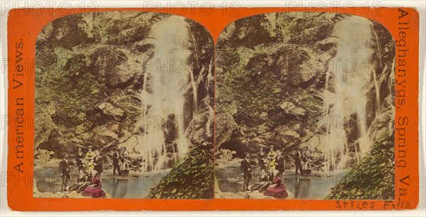 Styles Fall. Alleghany Springs, Va., about 1865-1875. Creator: E. & H.T. Anthony.