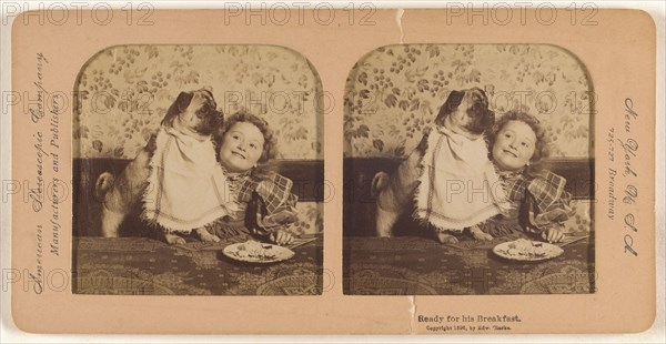 Ready for his Breakfast., 1896. Creator: Edward Clarke.