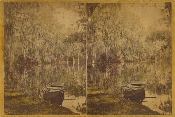 Magnolia - Residence of Rev. J.G. Drayton, on the Ashley River, 12 Miles from..., about 1875-1880. Creator: George N. Barnard.