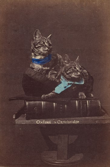 Oxford & Cambridge, about 1865. Creator: Henry Pointer.