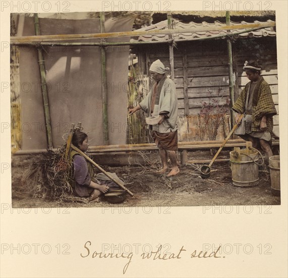 Sowing Wheat Seed, about 1873-1883. Creator: Shinichi Suzuki I.