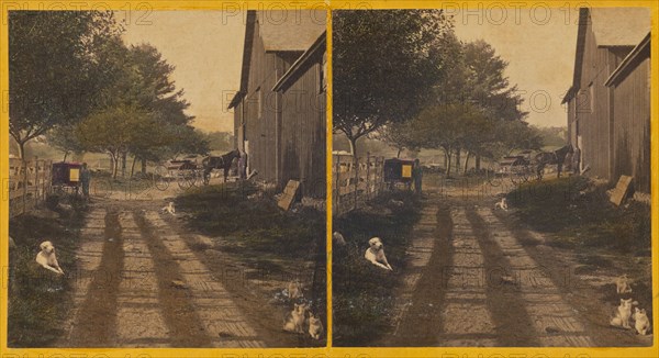 Country road with barn, dogs and cats about, about 1865. Creator: Unknown.