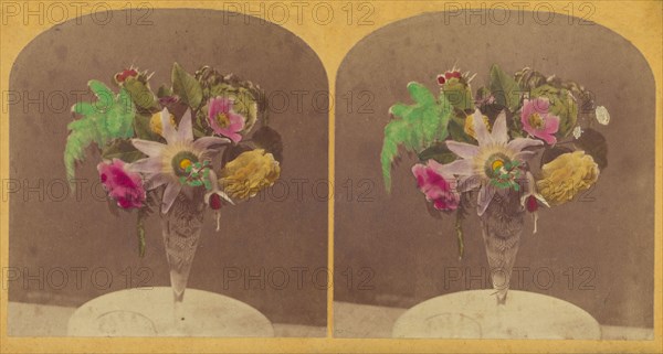 Flowers in clear glass vase, about 1870-1880. Creator: Unknown.