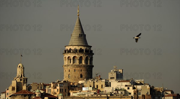 Galata Tower, Istanbul, Turkey, 2013.  Creator: LTL.