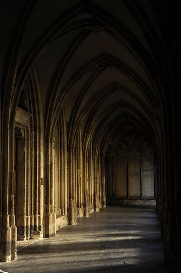 Cloister gallery, St. Martin's Cathedral, Utrecht, Netherlands, 2013.  Creator: LTL.