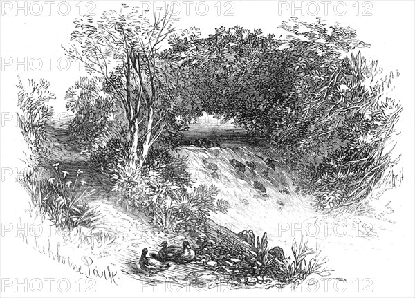 Waterfall in Tichborne Park, Alresford, Hants., 1871. Creator: Unknown.