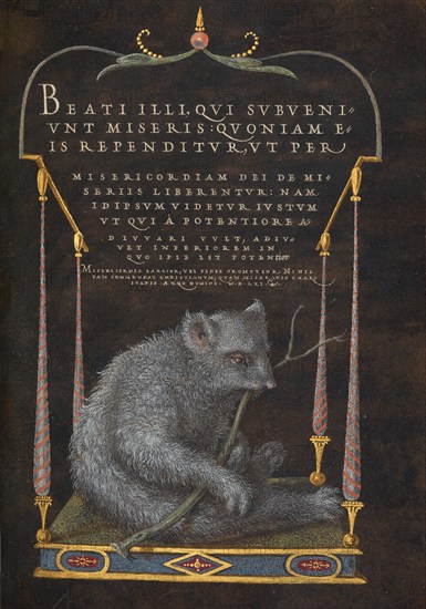 A Sloth; Mira calligraphiae monumenta, 1561-1562;; illumination added 1591-1596. Creator: Joris Hoefnagel.