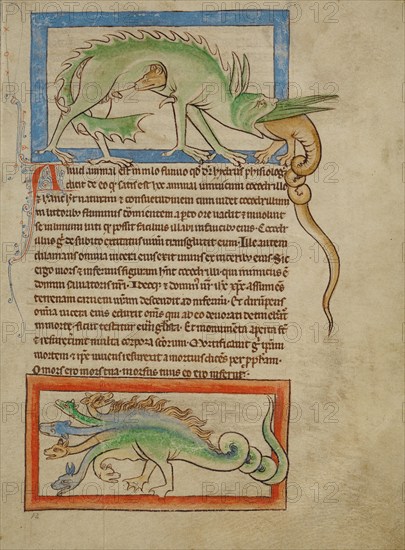 A Hydrus; A Hydra; Northumberland Bestiary, about 1250-1260. Creator: Unknown.