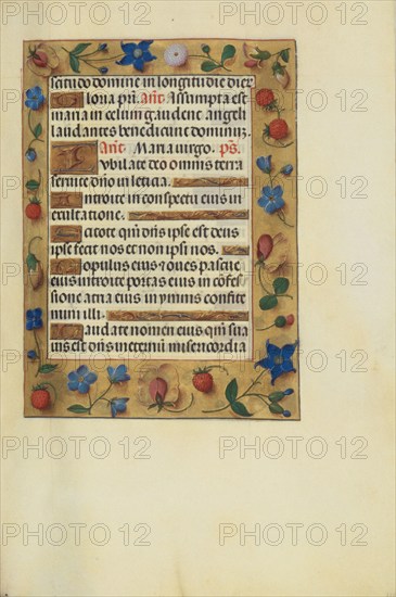 Decorated Text Page; Spinola Hours, about 1510-1520. Creator: Unknown.