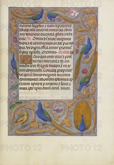 Decorated Text Page; Spinola Hours, about 1510-1520. Creator: Unknown.