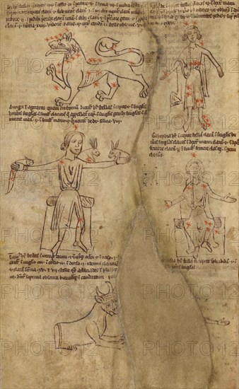 Constellation Diagrams, early 13th century. Creator: Unknown.