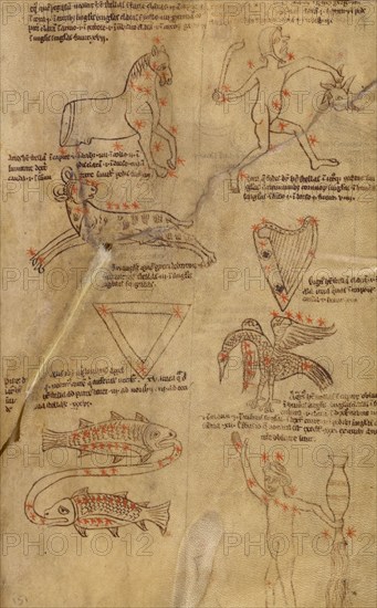 Constellation Diagrams, early 13th century. Creator: Unknown.