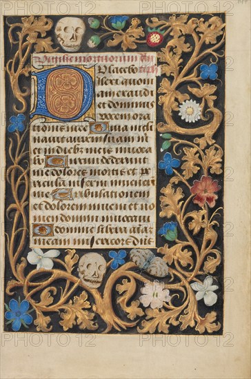 Decorated Initial D; Crohin-La Fontaine Hours, about 1480-1485 ?. Creator: Unknown.