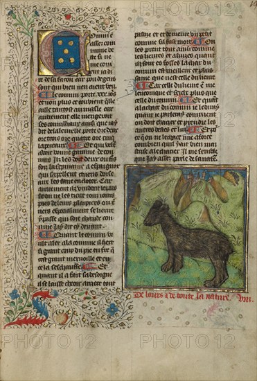 Bear; Livre de la Chasse, about 1430-1440. Creator: Unknown.