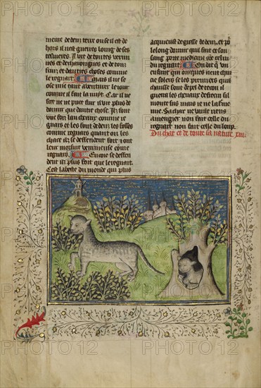 Wildcats; Livre de la Chasse, about 1430-1440. Creator: Unknown.