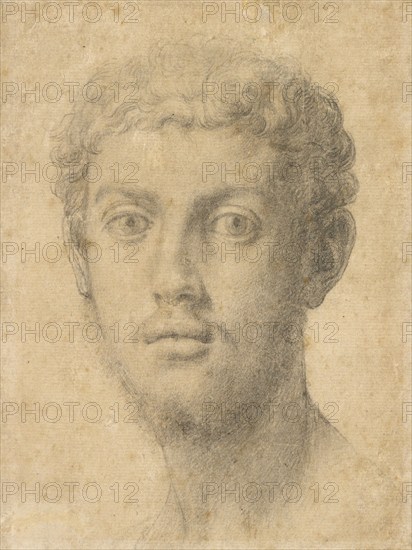 Head of a Man, about 1550-1555. Creator: Agnolo Bronzino.