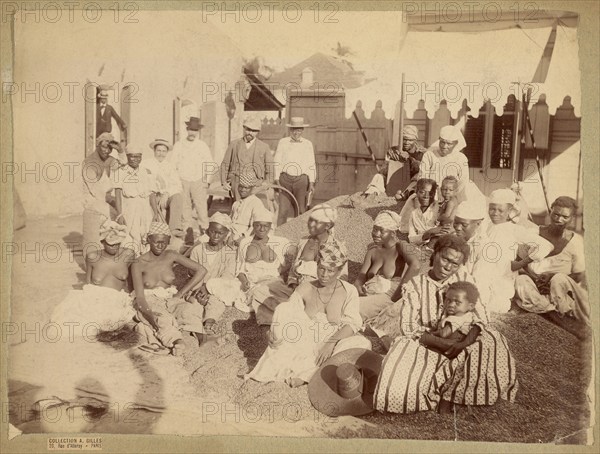 Group portrait of women, about 1870-1890. Creator: Unknown.