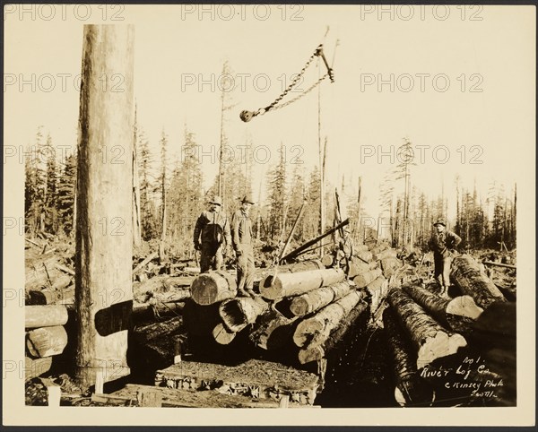 Logging/ Timber Scene, about 1910-1945. Creator: Darius Kinsey.