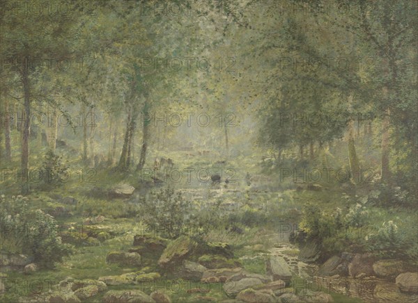 Woodland near Bertogne, late 19th-early 20th century. Creator: Adriaan Joseph Heymans.