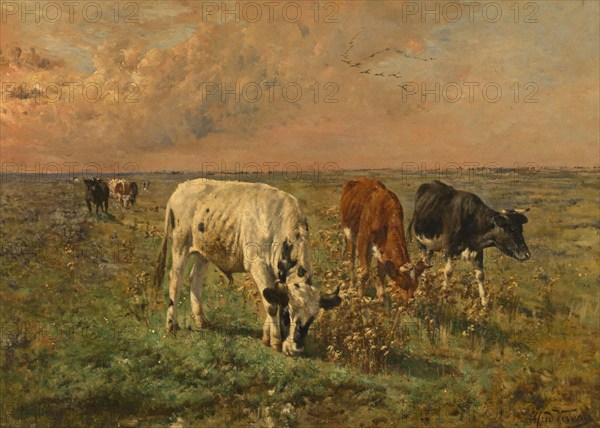 Cows in a Pasture, mid-late 19th century. Creator: Alfred Verwee.