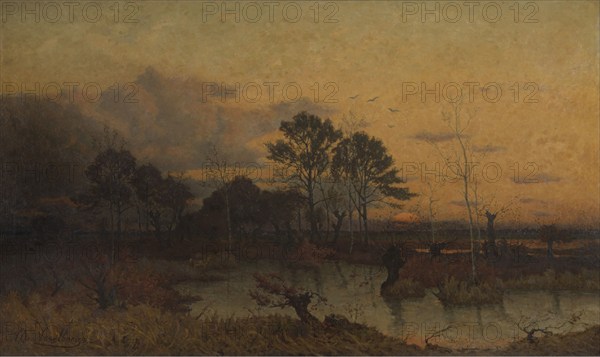 Fen in the Kempen, 1878. Creator: Alphonse Asselbergs.