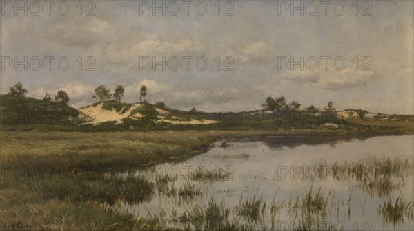 Marsh in the Heath, late 19th-early 20th century. Creator: Alfred Elsen.