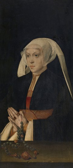 Portrait of a Woman, mid-16th century. Creator: Bartholomaeus Bruyn the Elder.