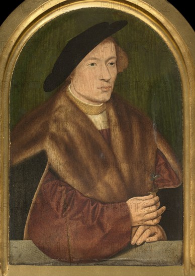 Portrait of a Young Man, 1528. Creator: Bartholomaeus Bruyn the Elder.