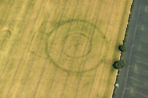 Cropmarks of a Neolithic henge and later enclosures at Paddock Hill, East Riding of Yorkshire, 2022. Creator: Emma Trevarthen.