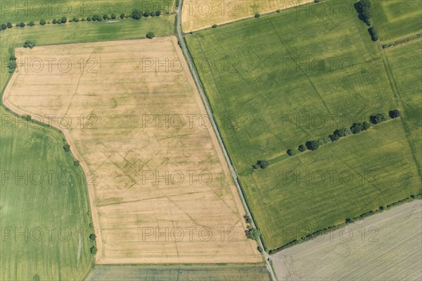 Cropmarks of an Iron Age or Roman field system and settlement near South Duffield, North Yorks, 2022 Creator: Robyn Andrews.