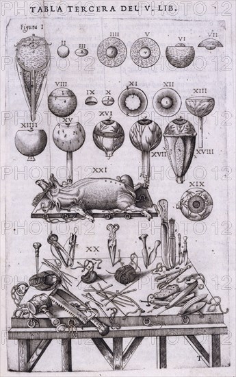 Details of anatomy of the eye and anatomical instruments, 1556.  Creator: Nicolas Beatrizet.